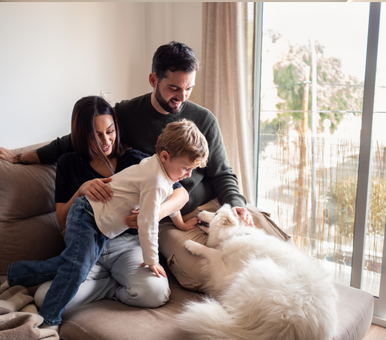 Ahorro IRPF Ventanas