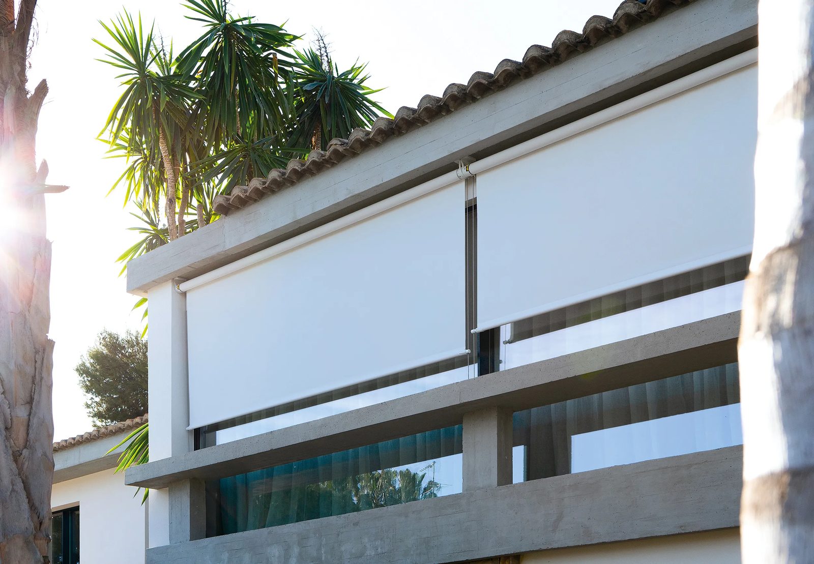 Screen oscuro en salón con planta y vistas al exterior